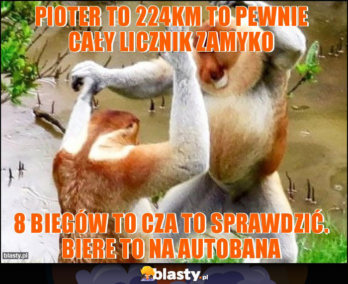 pioter to 224KM to pewnie cały licznik zamyko pioter to 224KM to pewnie cały licznik zamyko