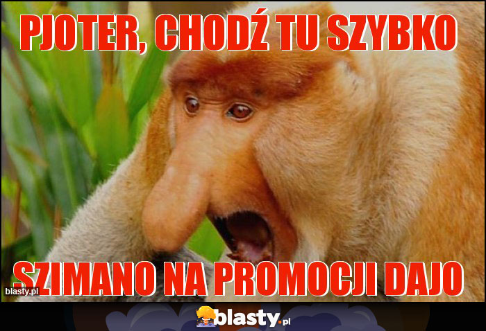 Pjoter, chodź tu szybko Pjoter, chodź tu szybko