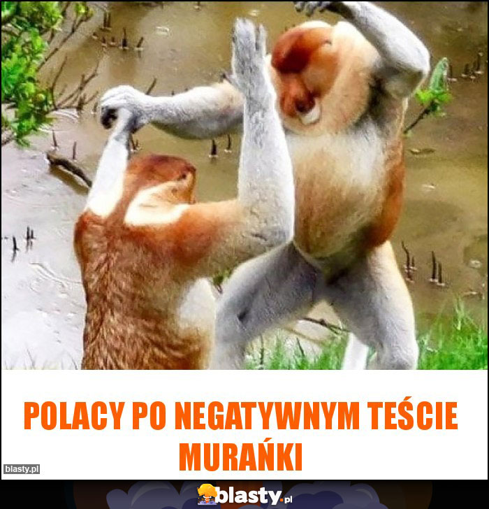 Polacy po negatywnym teście Murańki Polacy po negatywnym teście Murańki