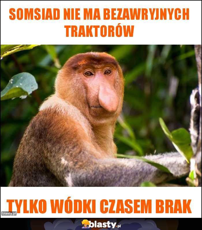 Somsiad nie ma bezawryjnych traktorów Somsiad nie ma bezawryjnych traktorów