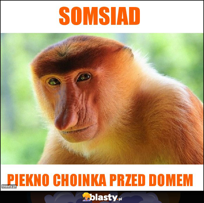 Somsiad