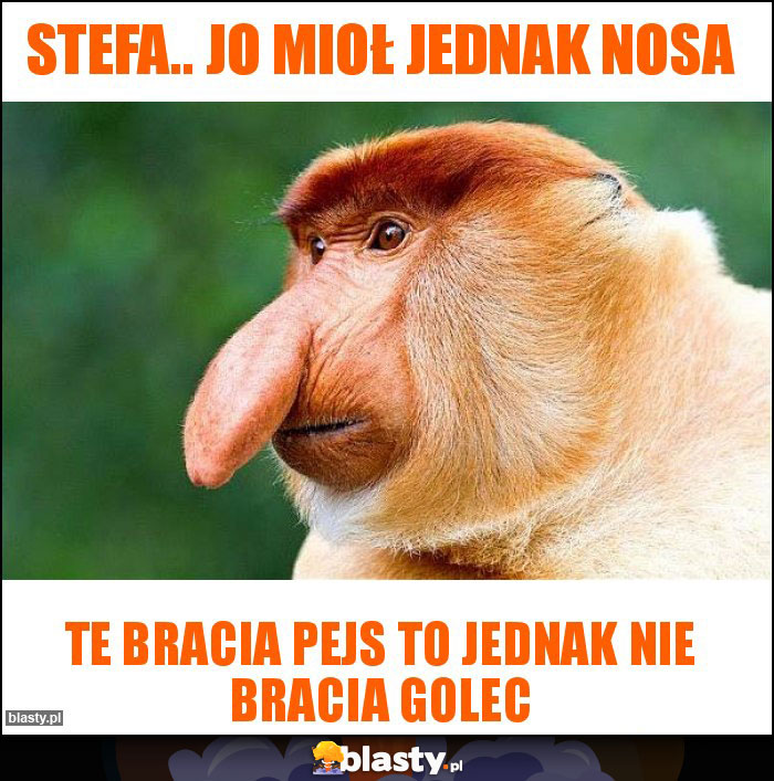 STEFA.. JO MIOŁ JEDNAK NOSA STEFA.. JO MIOŁ JEDNAK NOSA