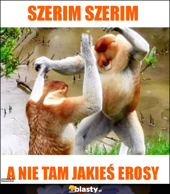 Szerim Szerim Szerim Szerim