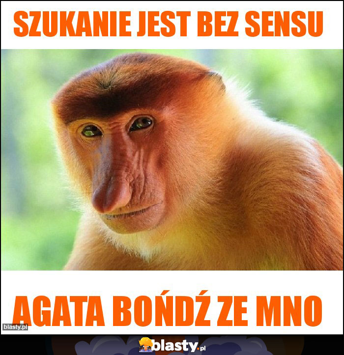 Szukanie jest bez sensu Szukanie jest bez sensu