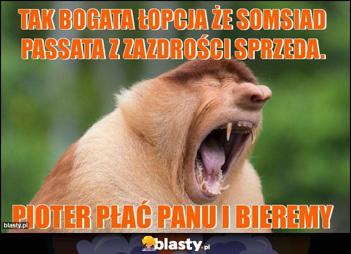 tak bogata łopcja że somsiad passata z zazdrości sprzeda. tak bogata łopcja że somsiad passata z zazdrości sprzeda.