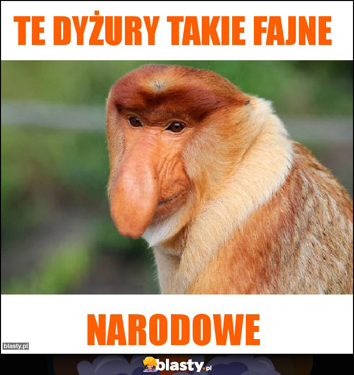 Te dyżury takie fajne Te dyżury takie fajne