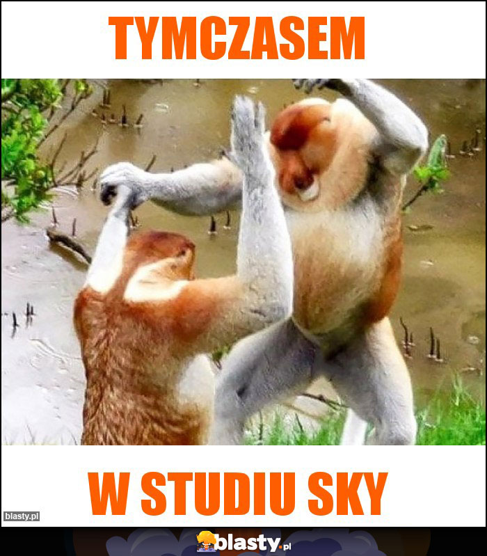 Tymczasem