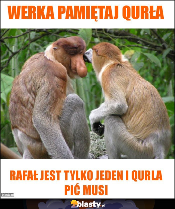 Werka pamiętaj qurła Werka pamiętaj qurła