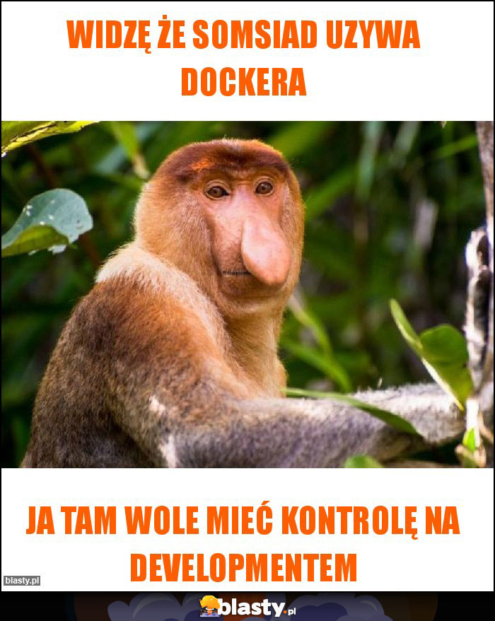 widzę że somsiad uzywa dockera widzę że somsiad uzywa dockera
