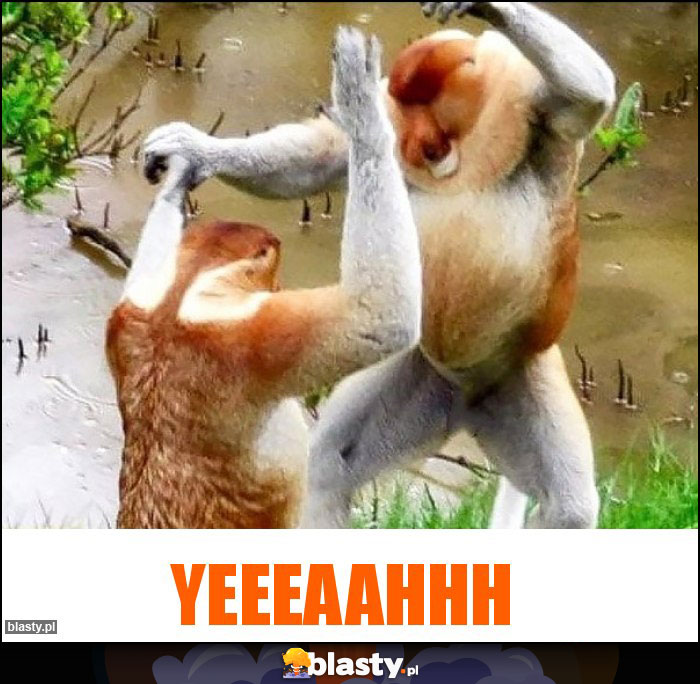 YEEEAAHHH