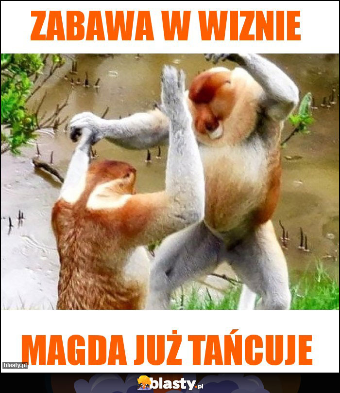 Zabawa w Wiznie Zabawa w Wiznie