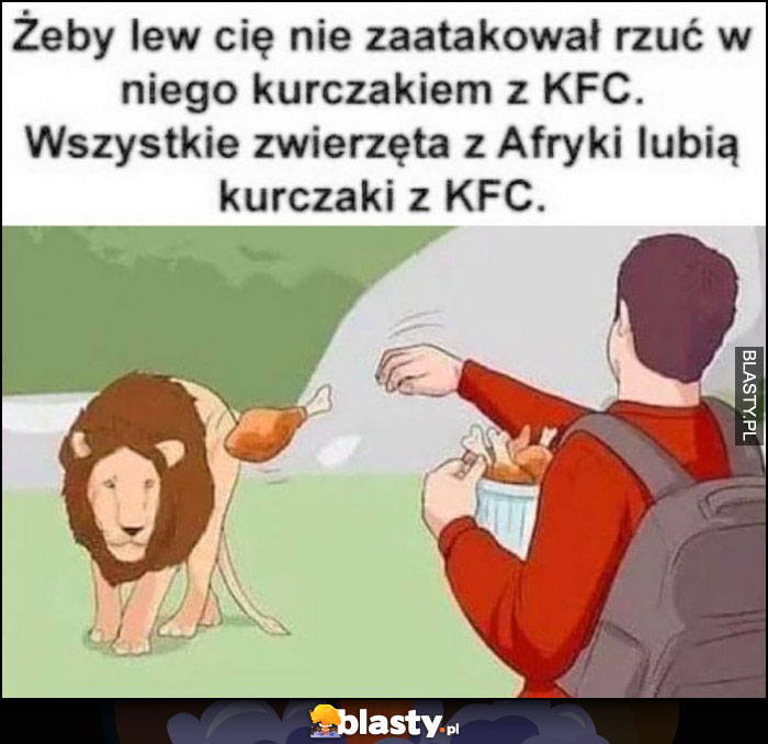 Żeby le Cię nie zaatakował rzuć w niego kurczakiem z KFC. Wszystkie zwierzęta z Afryki lubią kurczaki z KFC