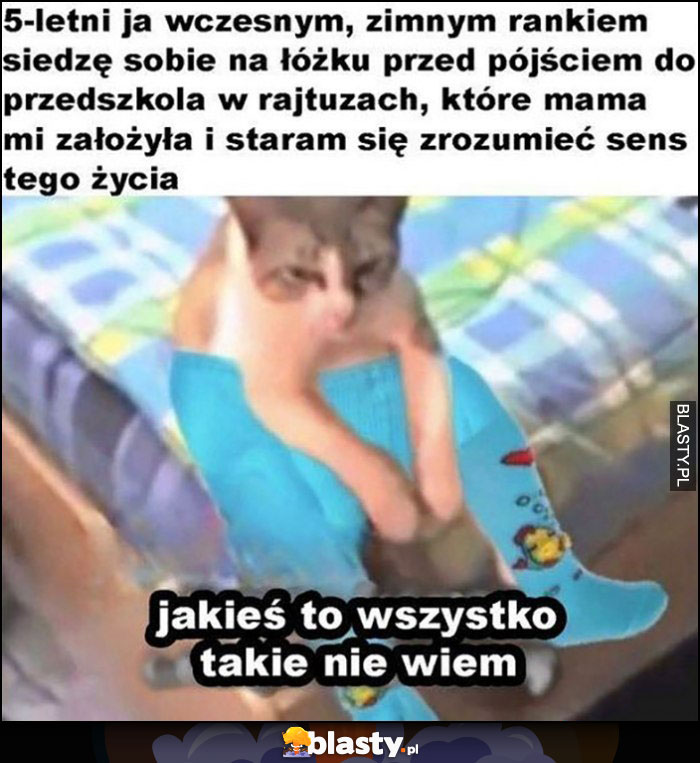 5-letni ja wczesnym, zimnym rankiem siedzę na łóżku w rajtuzach i staram się zrozumieć sens życia kot kotek