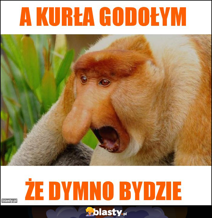 A kurła godołym A kurła godołym