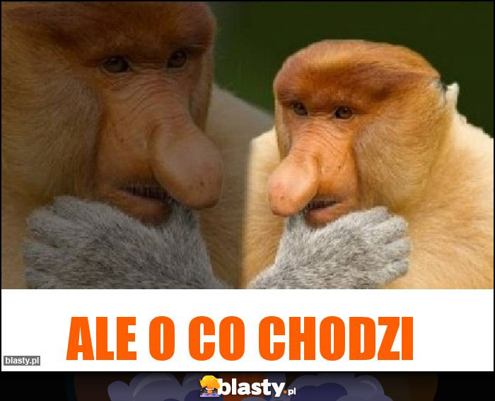 Ale o co chodzi Ale o co chodzi