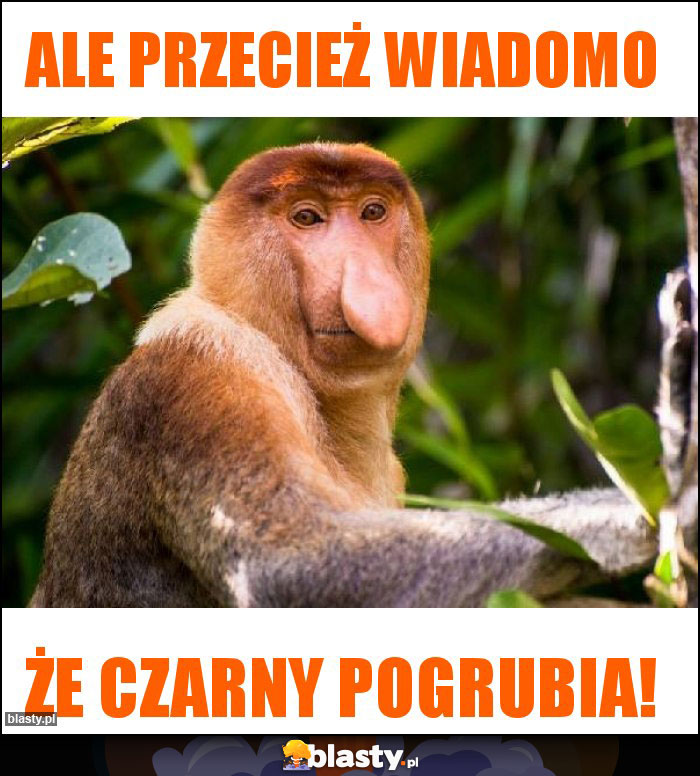 Ale przecież wiadomo Ale przecież wiadomo