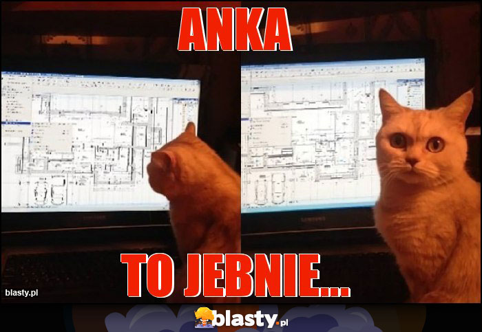 ANKA
