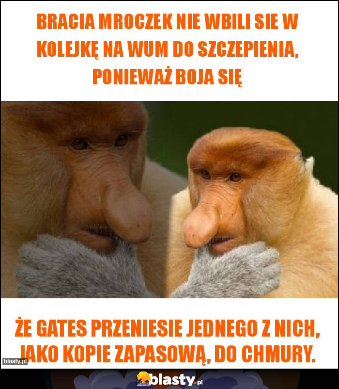 Bracia Mroczek nie wbili sie w kolejkę na WUM do szczepienia, ponieważ boja się Bracia Mroczek nie wbili sie w kolejkę na WUM do szczepienia, ponieważ boja się