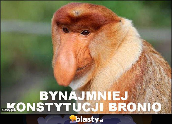 BYNAJMNIEJ KONSTYTUCJI BRONIO BYNAJMNIEJ KONSTYTUCJI BRONIO