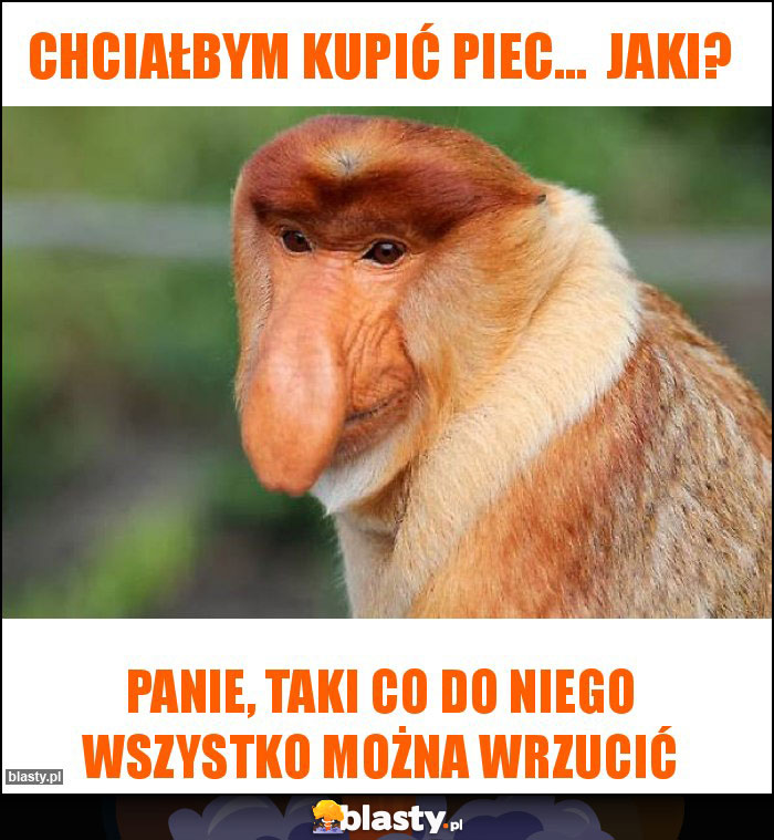 Chciałbym kupić piec... Jaki? Chciałbym kupić piec... Jaki?