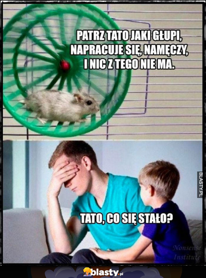 Chomik w kołowrotku, patrz tato jaki głupi, napracuje się, namęczy i nic z tego nie ma, ojciec płacze, tato co się stało?