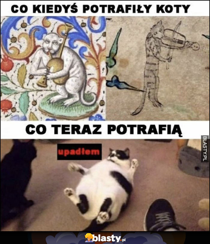 Co kiedyś potrafiły koty vs co teraz potrafią upadłem