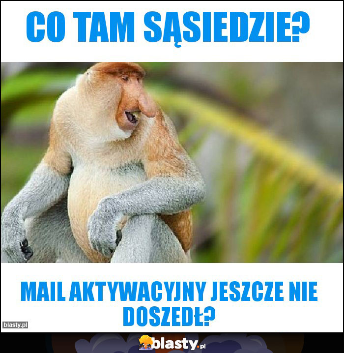 Co tam sąsiedzie? Co tam sąsiedzie?