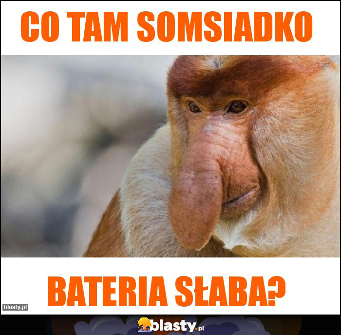 Co tam somsiadko Co tam somsiadko