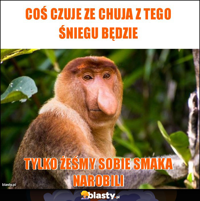 Coś czuje ze chuja z tego śniegu będzie Coś czuje ze chuja z tego śniegu będzie