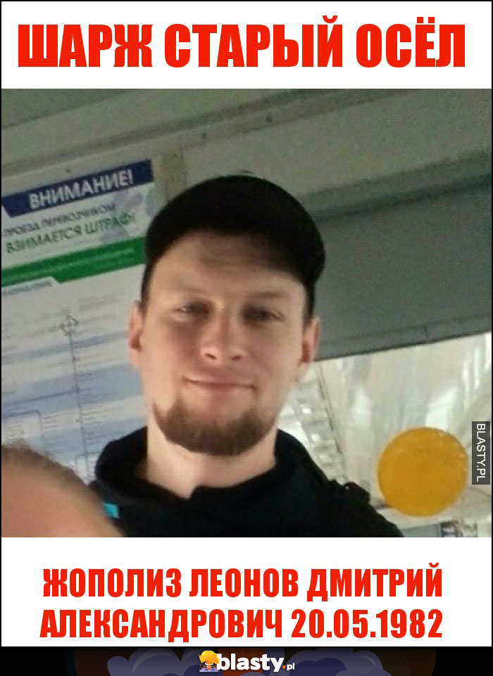 ШАРЖ СТАРЫЙ ОСЁЛ ШАРЖ СТАРЫЙ ОСЁЛ