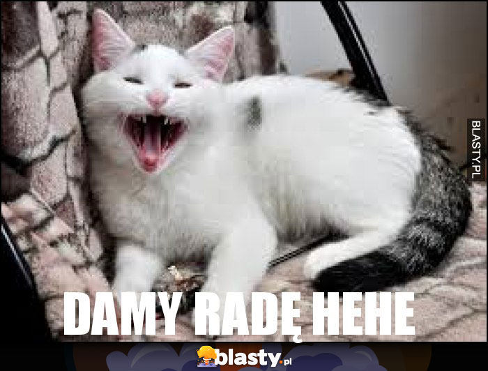 Damy radę hehe Damy radę hehe