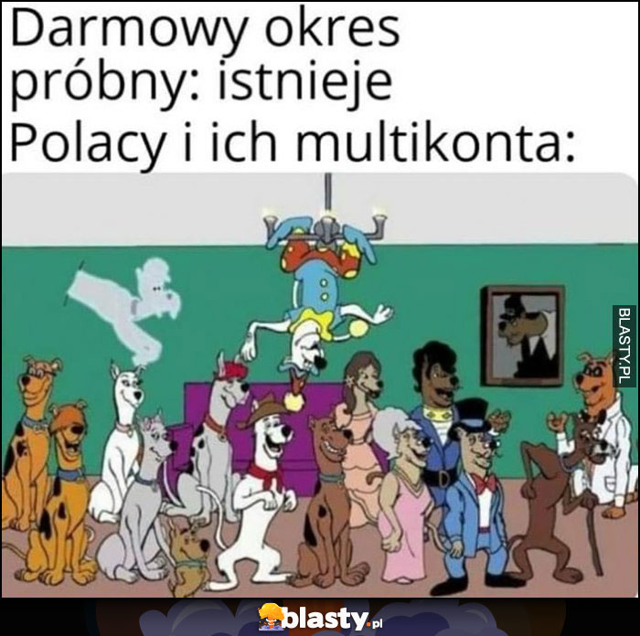 Darmowy okres próbny istnieje, Polacy i ich multikonta