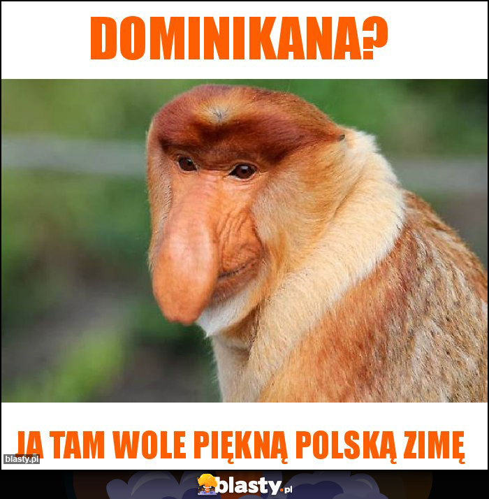 DOMINIKANA? DOMINIKANA?