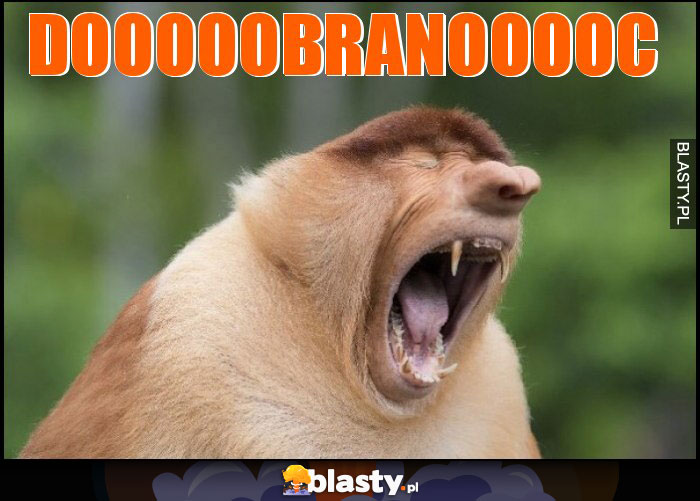 Dooooobranooooc