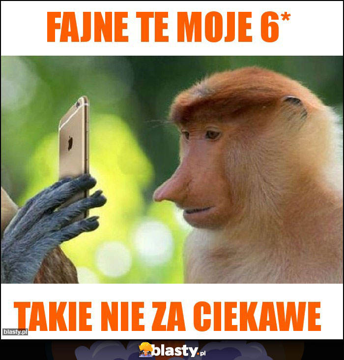 Fajne te moje 6* Fajne te moje 6*