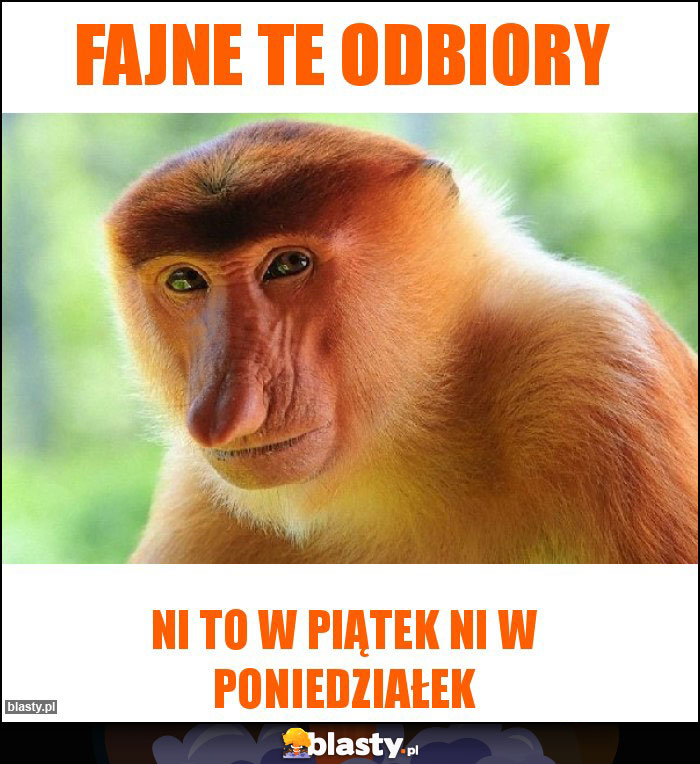 FAJNE TE ODBIORY FAJNE TE ODBIORY