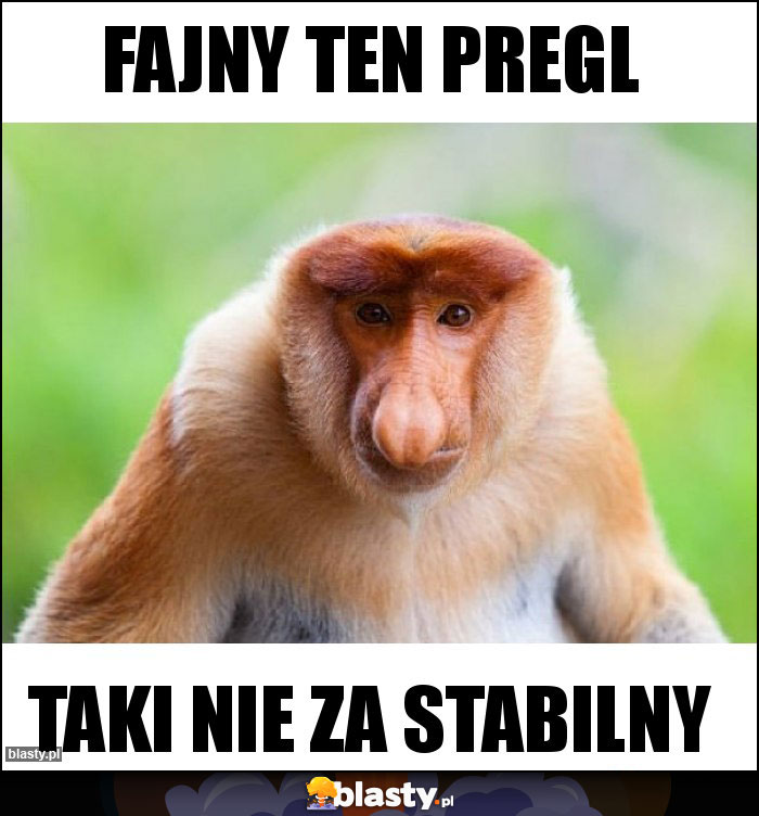 fajny ten pregl fajny ten pregl