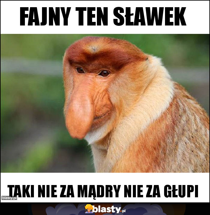 Fajny ten Sławek Fajny ten Sławek
