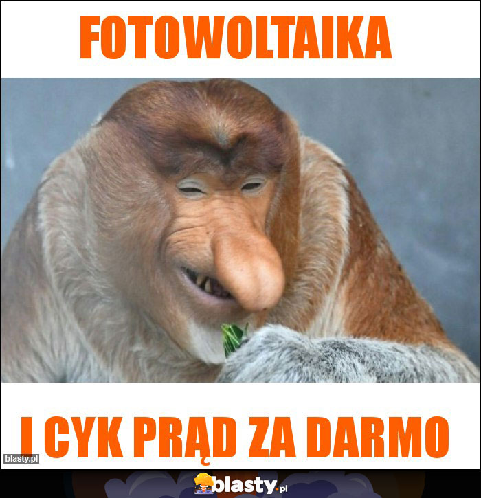 Fotowoltaika Fotowoltaika