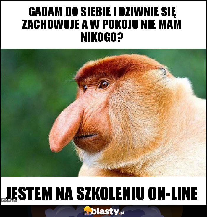 Gadam do siebie i dziwnie się zachowuje a w pokoju nie mam nikogo? Gadam do siebie i dziwnie się zachowuje a w pokoju nie mam nikogo?