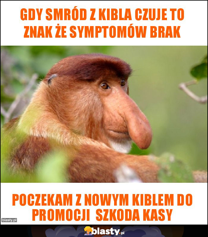 Gdy smród z kibla czuje to znak że symptomów brak Gdy smród z kibla czuje to znak że symptomów brak