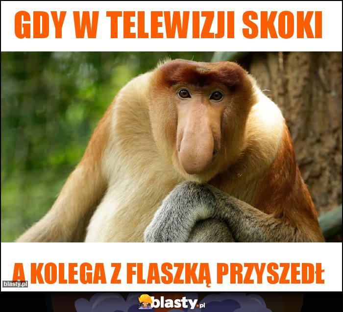 Gdy w telewizji skoki Gdy w telewizji skoki