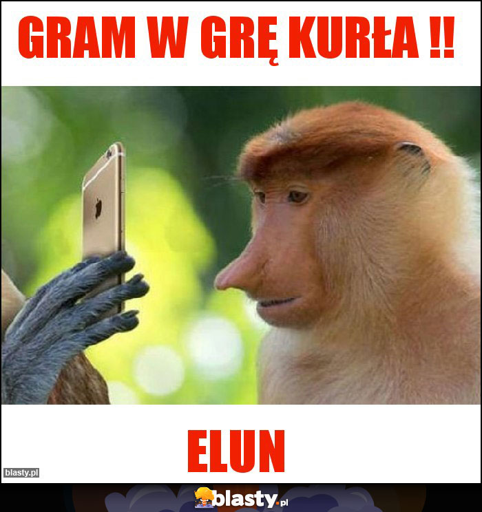Gram w grę kurła !! Gram w grę kurła !!