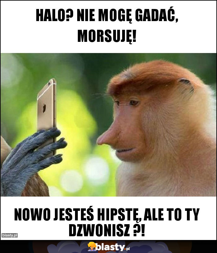 Halo? Nie mogę gadać, morsuję! Halo? Nie mogę gadać, morsuję!