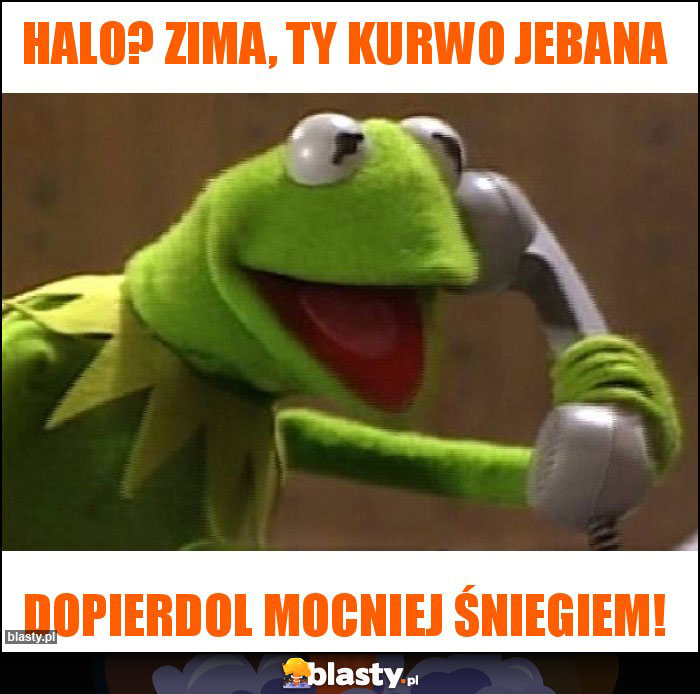 Halo? Zima, Ty kurwo jebana Halo? Zima, Ty kurwo jebana