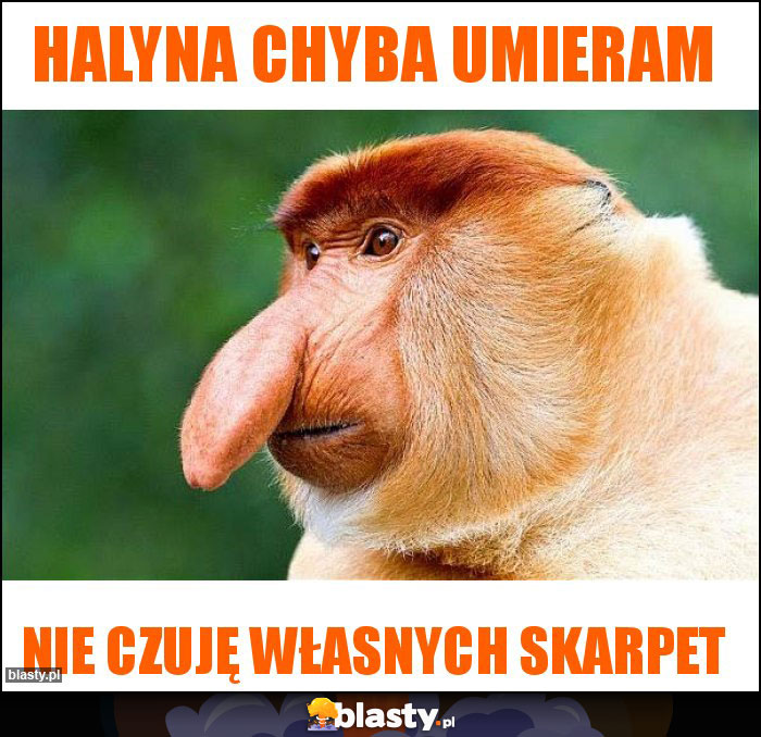 Halyna chyba umieram Halyna chyba umieram