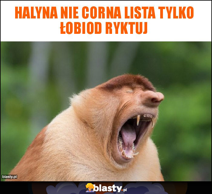 Halyna nie Corna lista tylko łobiod ryktuj Halyna nie Corna lista tylko łobiod ryktuj