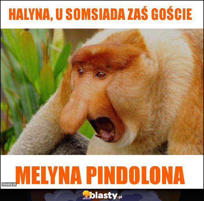 HALYNA, U SOMSIADA ZAŚ GOŚCIE HALYNA, U SOMSIADA ZAŚ GOŚCIE