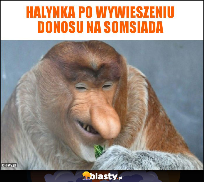 Halynka po wywieszeniu donosu na somsiada Halynka po wywieszeniu donosu na somsiada