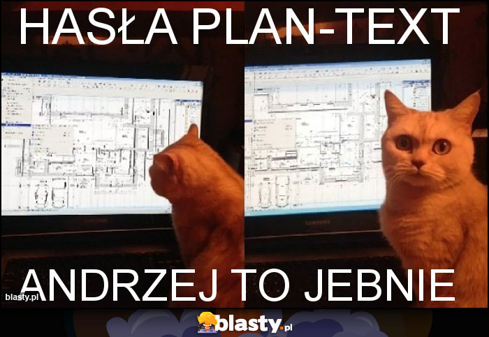 Hasła plan-text Hasła plan-text